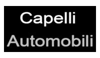 Web management per Capelli Automobili